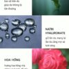 XỊT KHÓA TRANG ĐIỂM DSM – BÍ QUYẾT GIỮ LỚP MAKEUP CHUẨN ĐẸP SUỐT NGÀY DÀI!